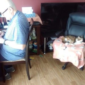 Meet your Posher, Posh